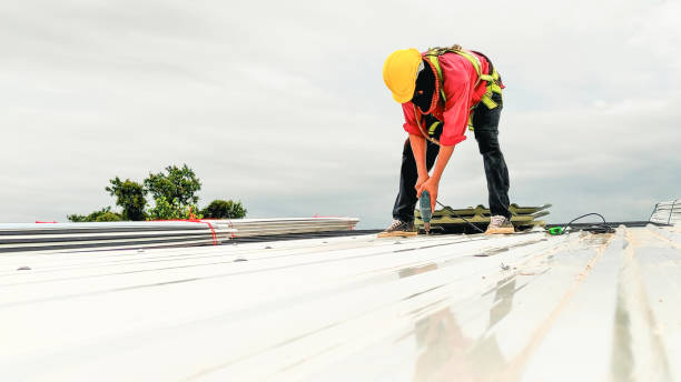 Best Roof Maintenance and Cleaning  in Viola, IL